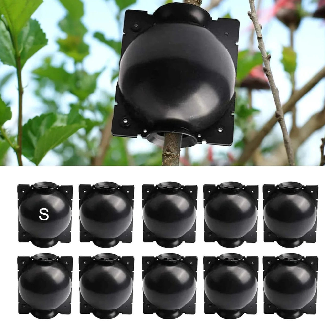 Seedling Cutting Plant Grow Box