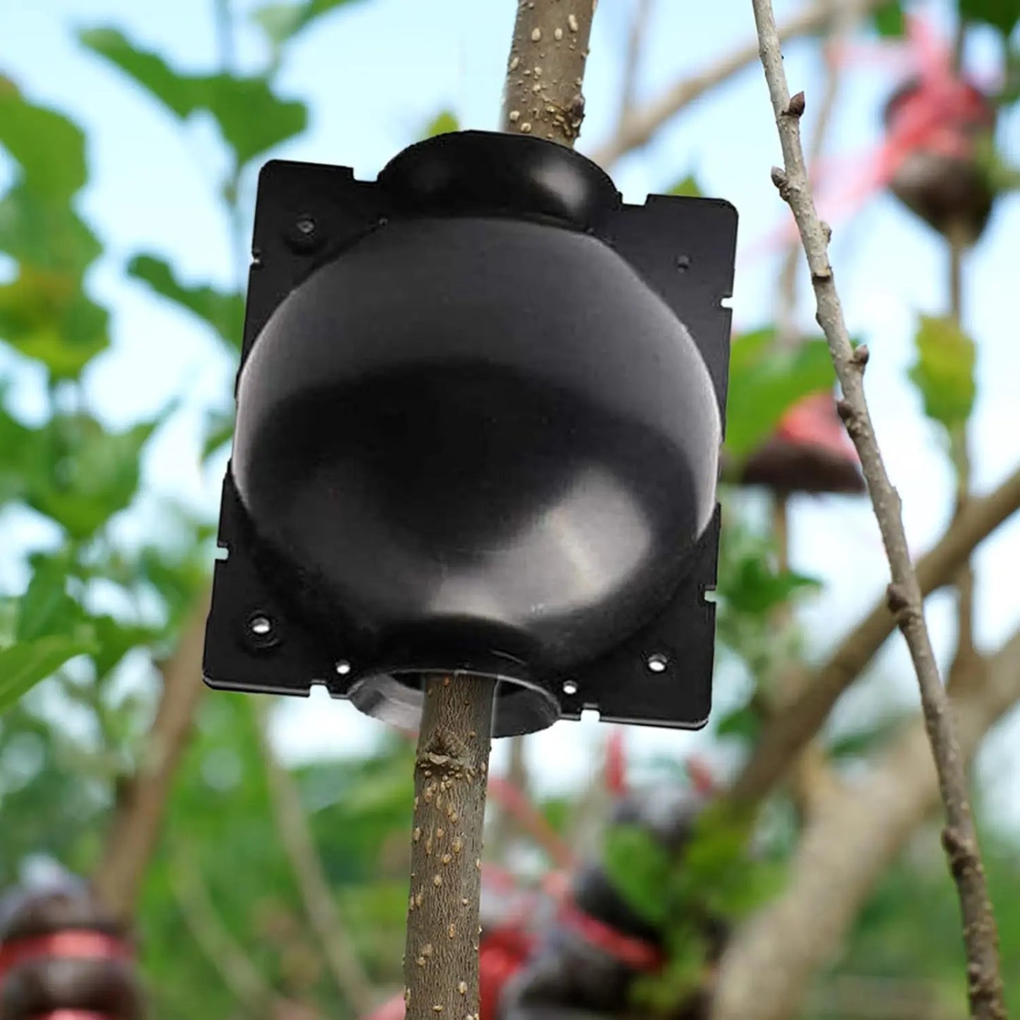 Seedling Cutting Plant Grow Box