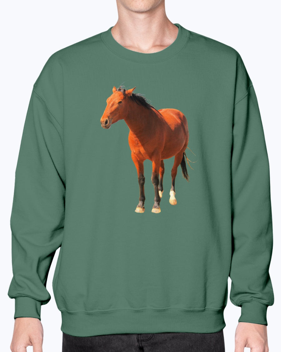 Desert Mustangs, Wild Horse Conservation, Moss Apparel, Crewneck Sweatshirt
