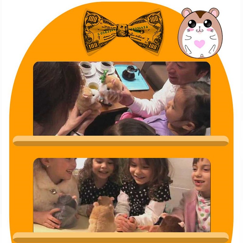 15CM Little Talking Hamster Toy-nabka