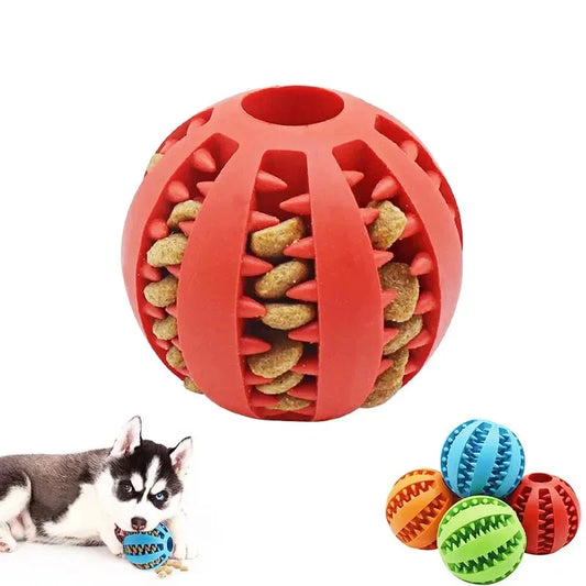 Dog Ball Toy Small Dog