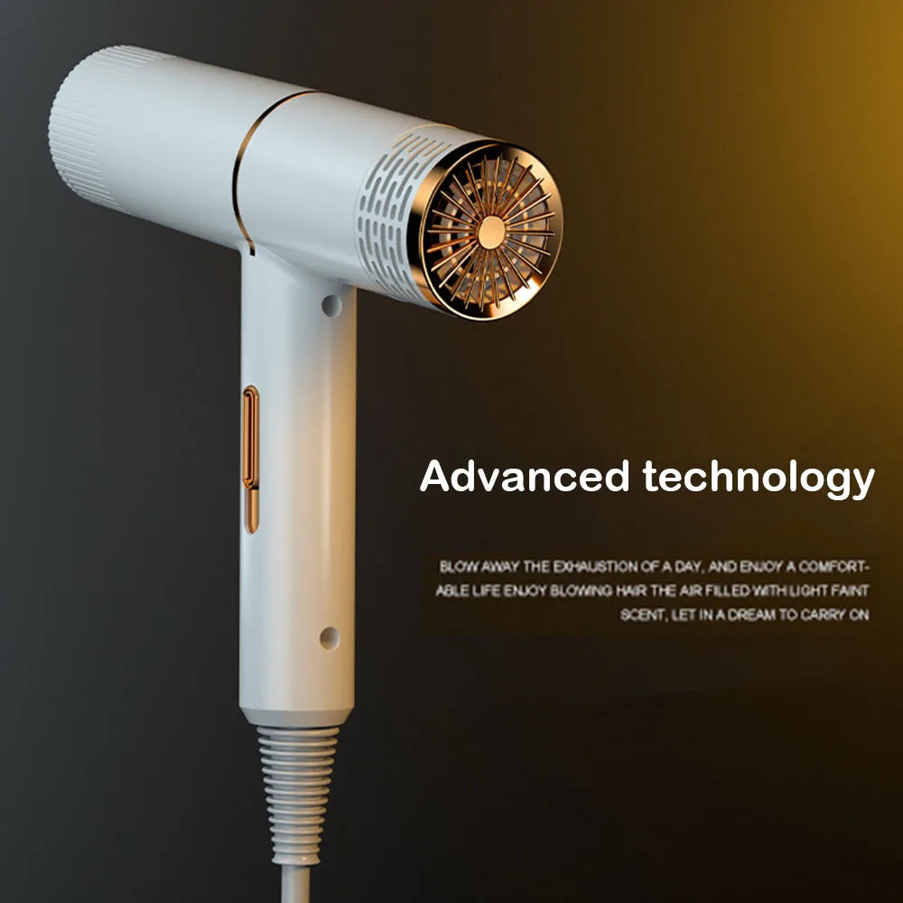 Electric Professional Hair Dryer