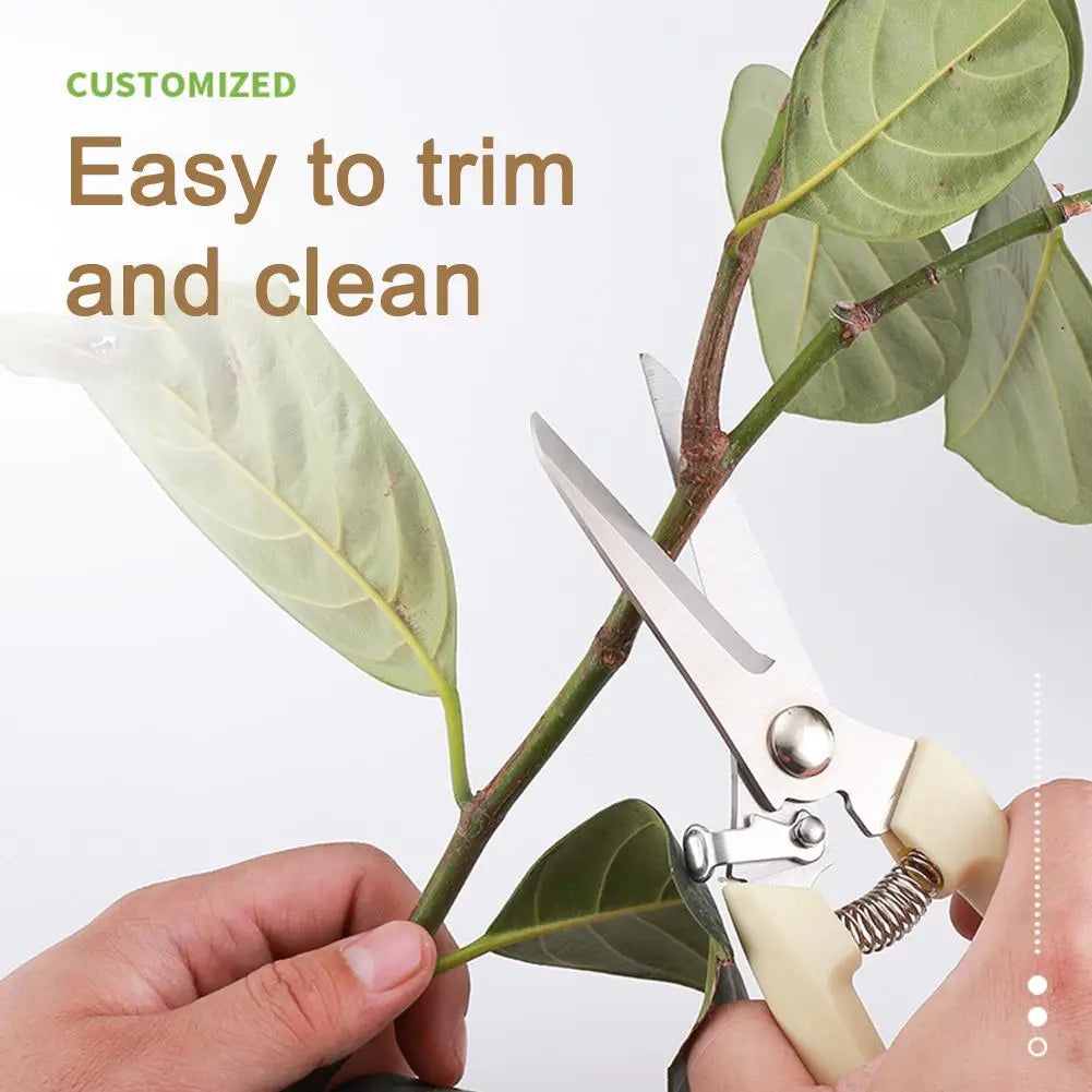 Garden Scissors Professional  Trimmer