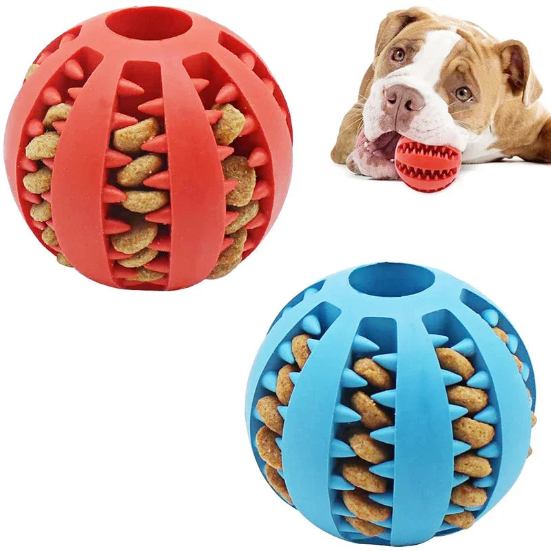 Dog Ball Toy Small Dog