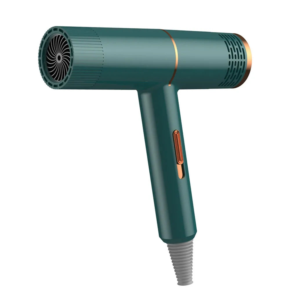 Electric Professional Hair Dryer