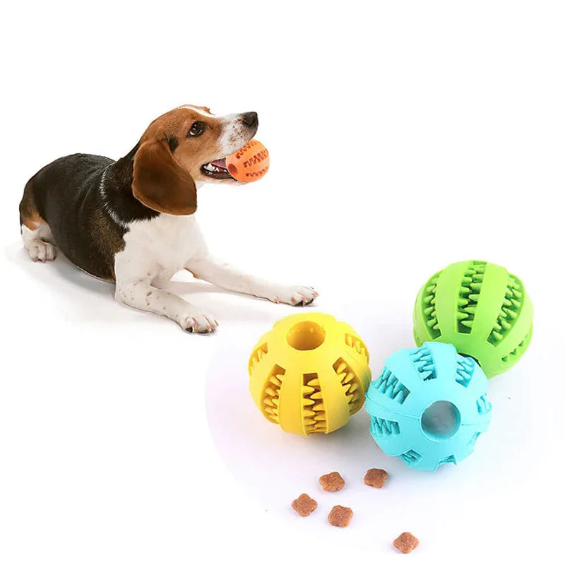 Dog Ball Toy Small Dog