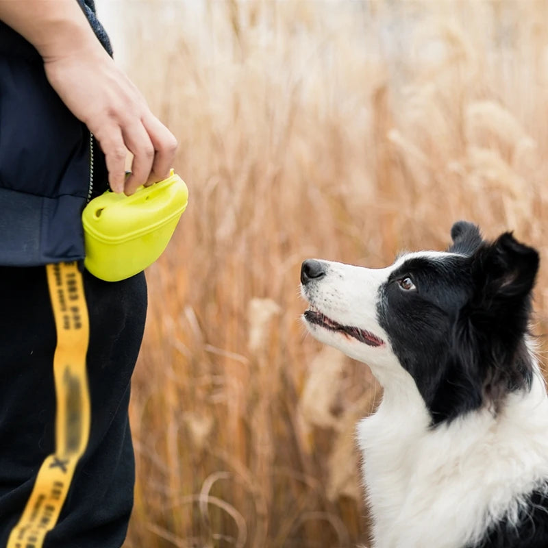 Dog Training Waist Treat Snack Bag