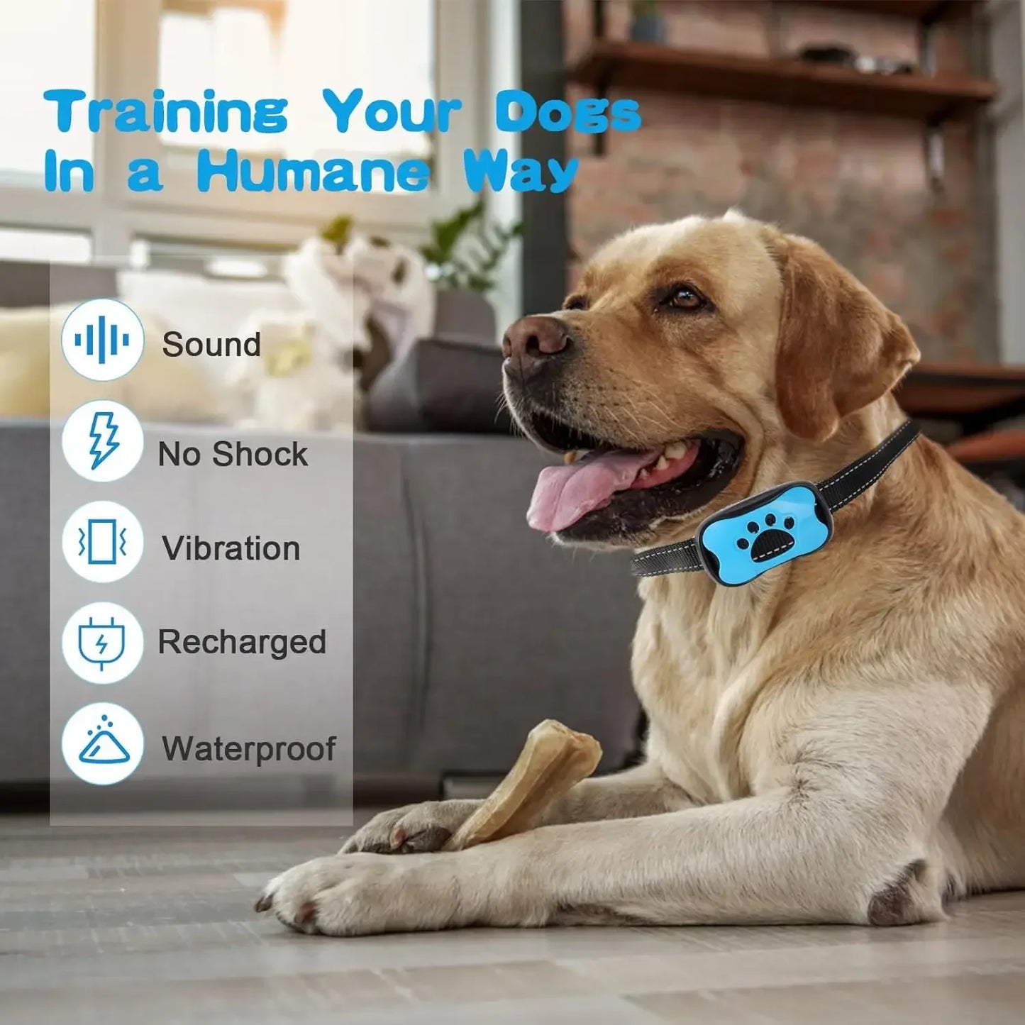 Dog Rechargeable  Training Collar