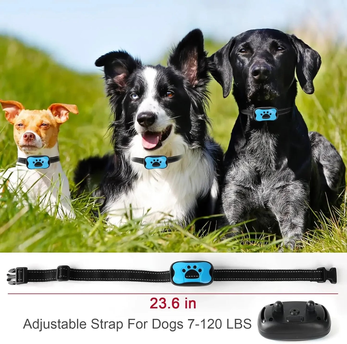 Dog Rechargeable  Training Collar