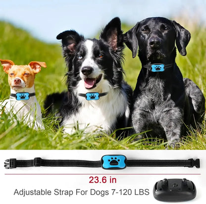 Dog Rechargeable  Training Collar