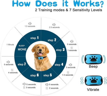 Dog Rechargeable  Training Collar