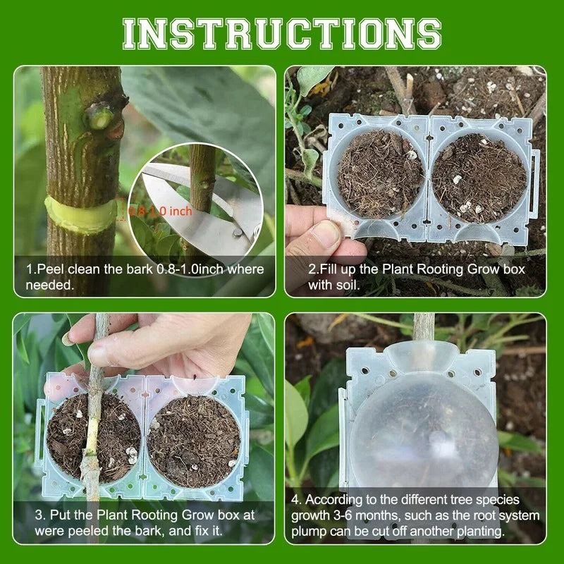 Seedling Cutting  Plant Grow Box