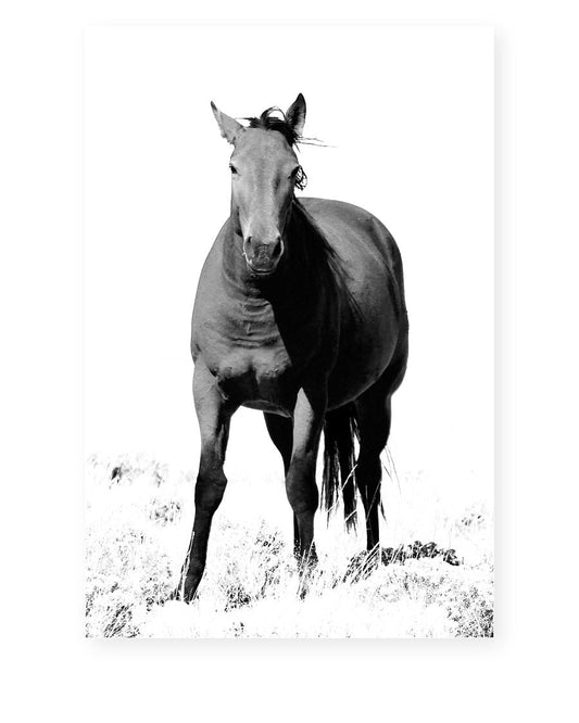 Wild Horse, Moss Apparel, Art, 20x30 Poster Matte