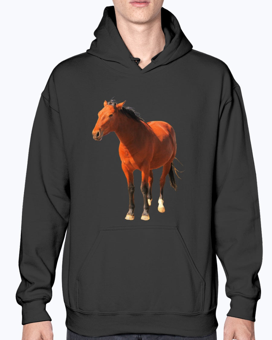 Wild Mustangs, Moss Apparel, Red Desert Horse Herd Conservation Unisex Hoodie