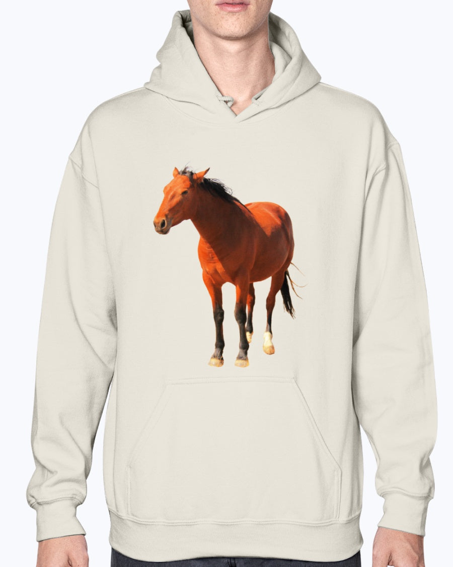 Wild Mustangs, Moss Apparel, Red Desert Horse Herd Conservation Unisex Hoodie
